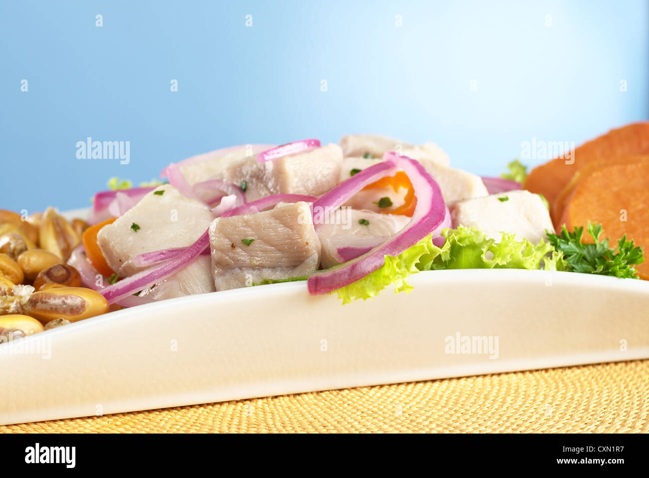 Peruanisch-Stil Ceviche aus rohen Katzenhai gemacht (Spanisch: Tollo), roten Zwiebeln, Aji (peruanische Paprika) Stockfoto