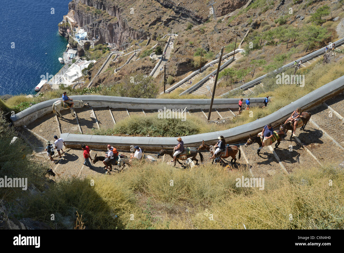 Eselreiten aus der Stadt Firáold, Hafen von Fira, Santorini, Cyclades, Süd Ägäis, Griechenland Stockfoto