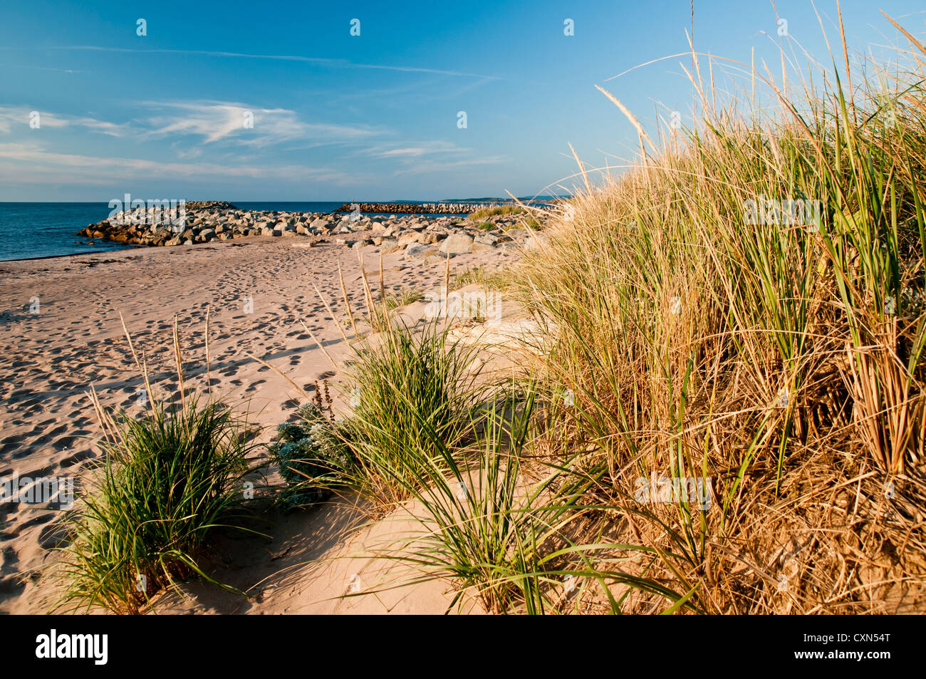 Strand-Gräser und Sandstrand mit Badesteg in starken Seitenlicht Stockfoto