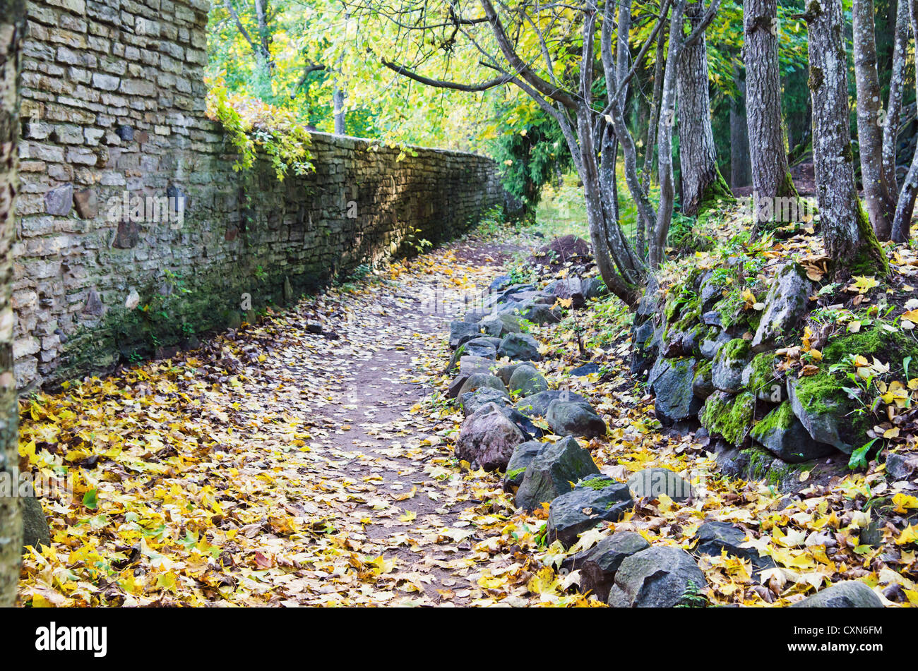 Wanderweg im unten Laub im Herbst park Stockfoto