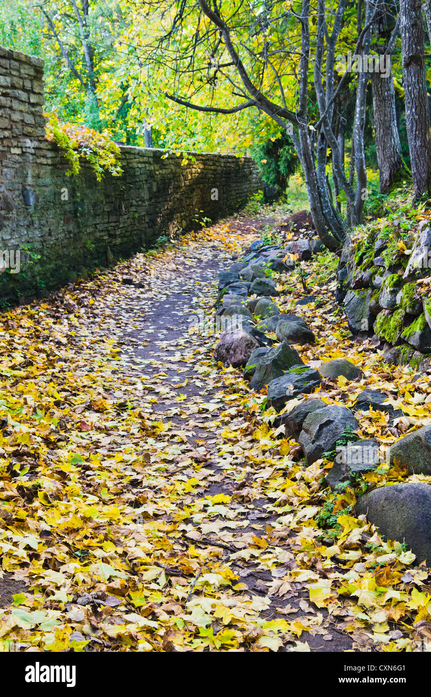 Wanderweg im unten Laub im Herbst park Stockfoto
