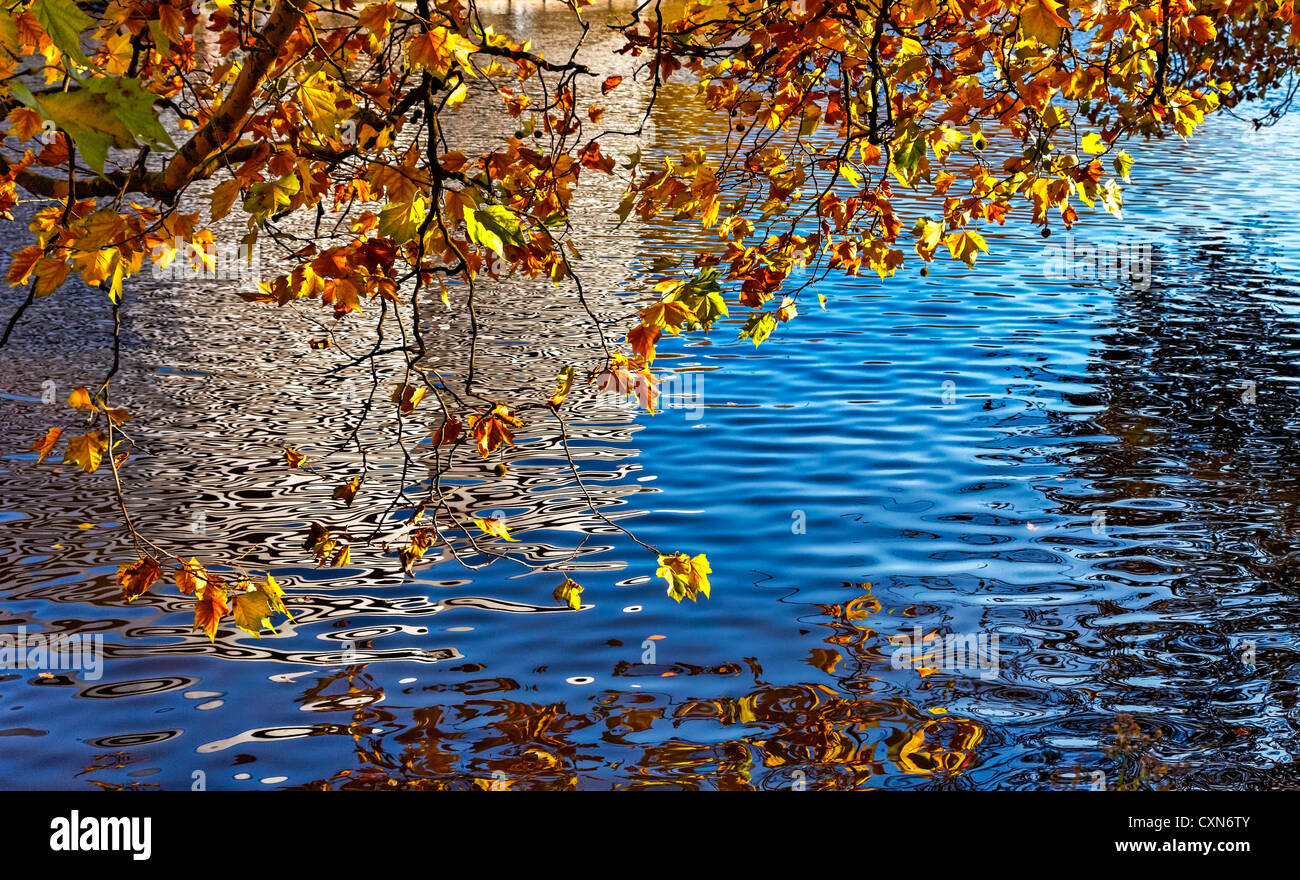 Buntes Bild eines Kanals im Herbst befindet sich in Amsterdam. Stockfoto