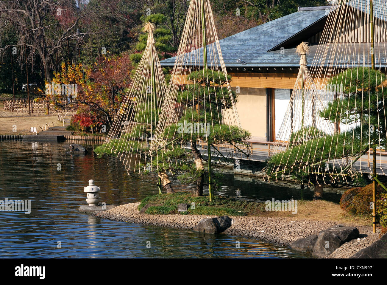 japanischer Garten Hintergrund mit Teich, Pinien, kleine Laterne und Teil des traditionellen Hauses über Wasser, Tokyo, Japan Stockfoto