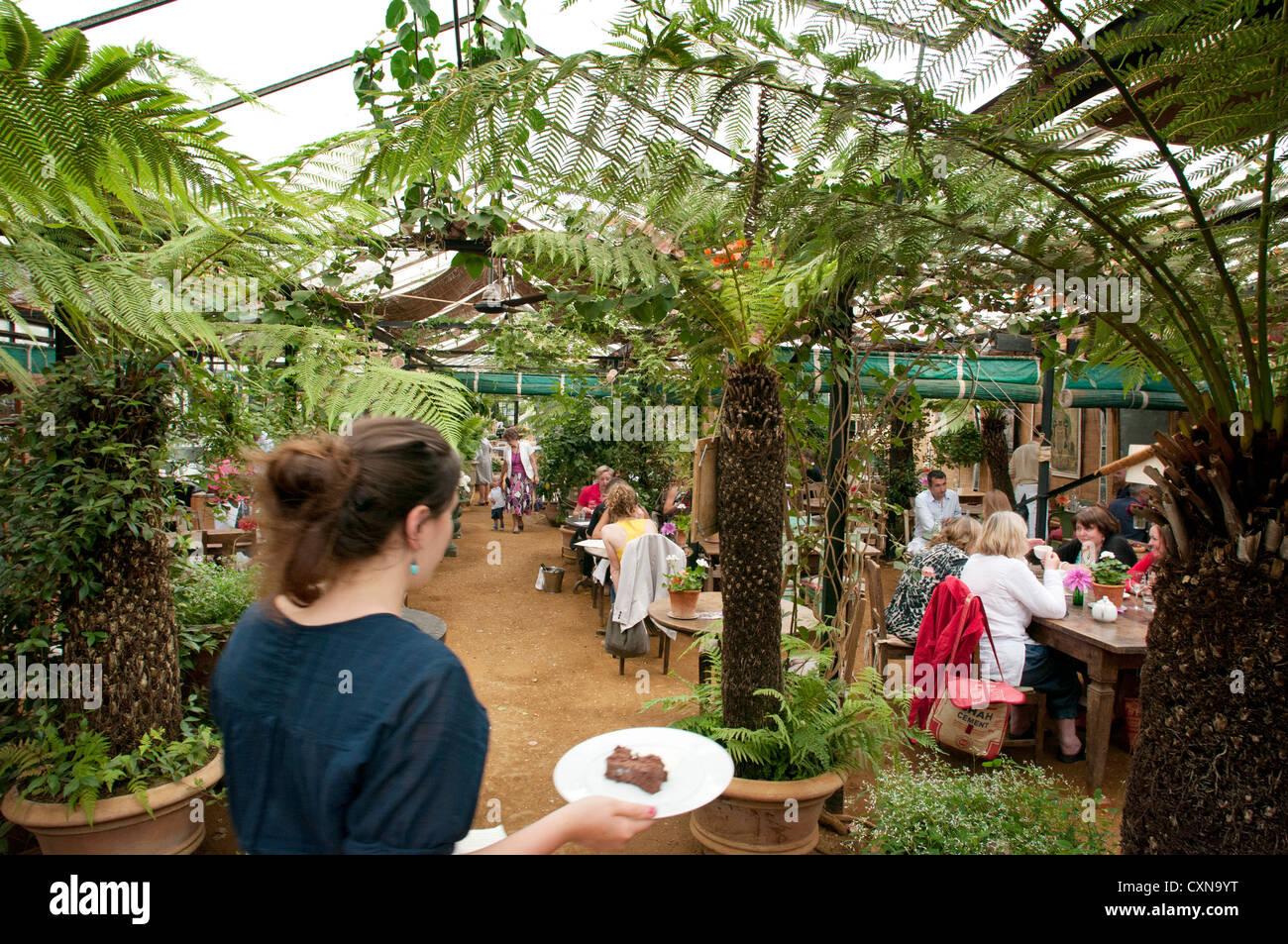 Petersham Nurseries Cafe, Petersham, London, UK, wo Küchenchef Skye Gygnell einen Michelin-Stern gewonnen hat Stockfoto