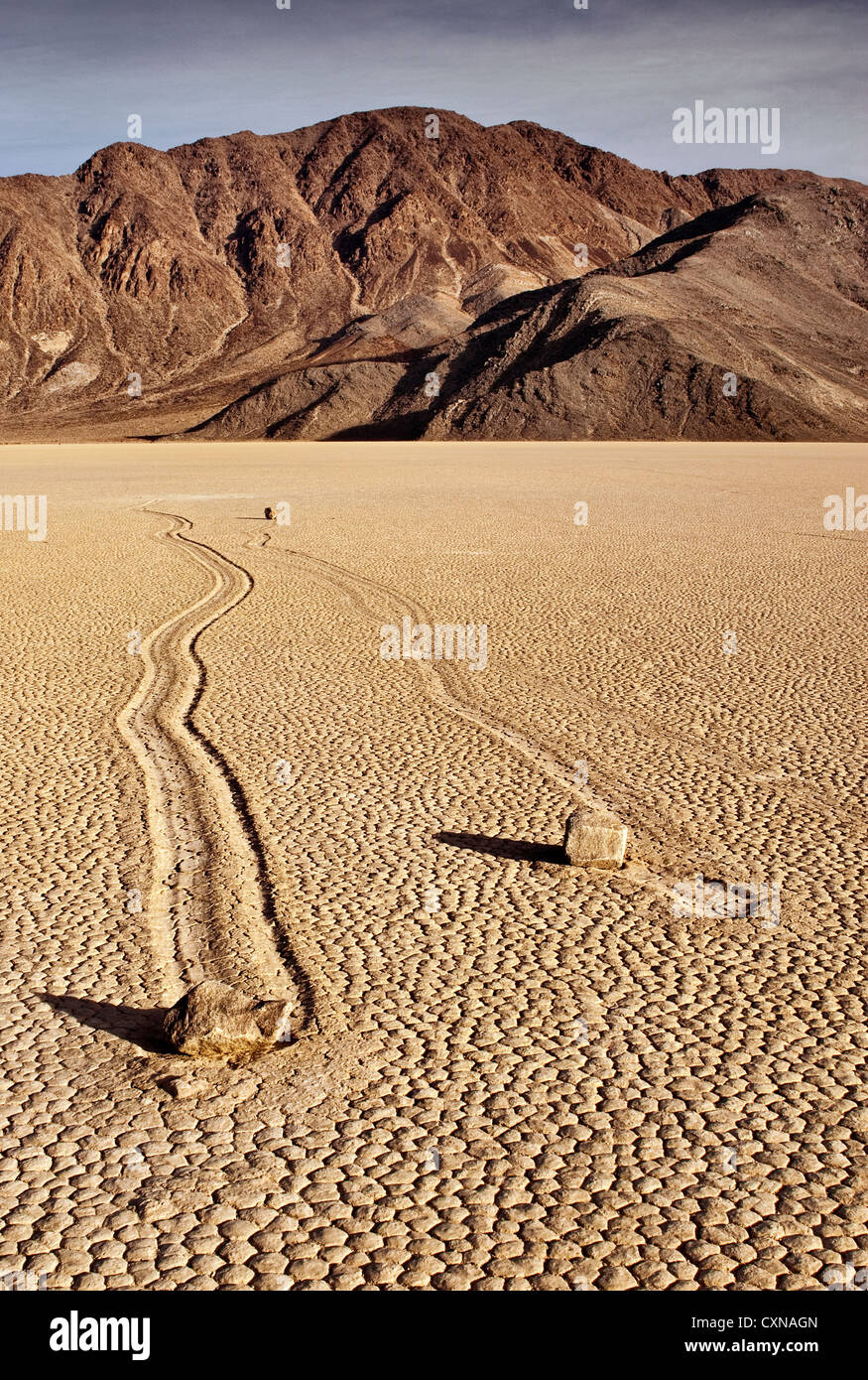 Beweglichen Felsen in The Racetrack trocken See, Mojave-Wüste in Death Valley Nationalpark, Kalifornien, USA Stockfoto
