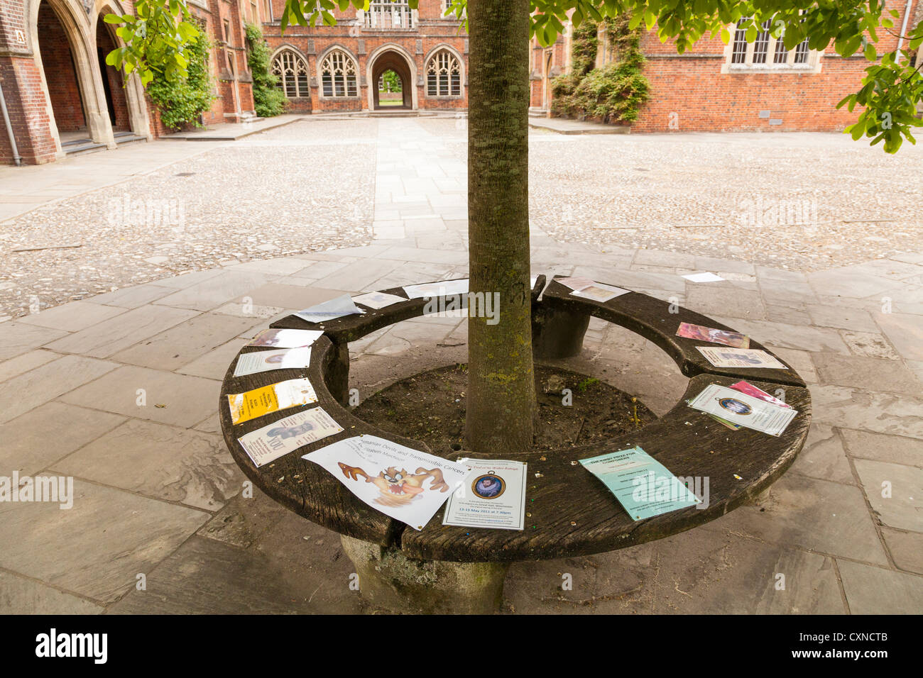 Mitteilungen an runde Sitzbank um Baum am Winchester College angeheftet Stockfoto