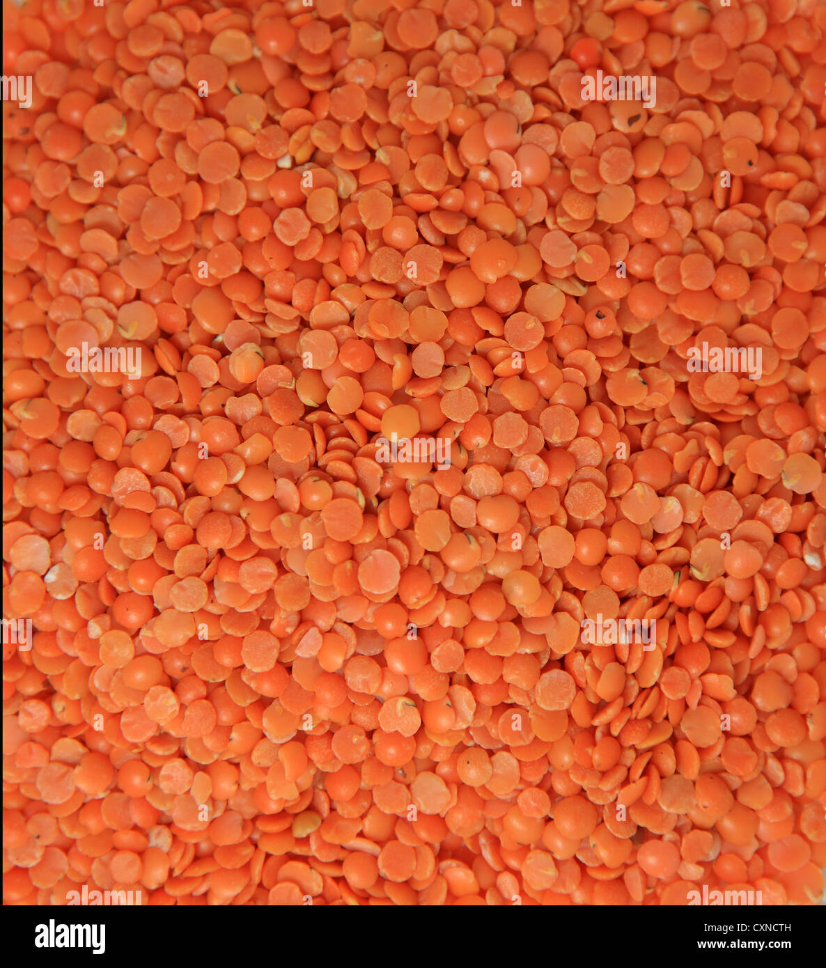 Linsen Stockfoto