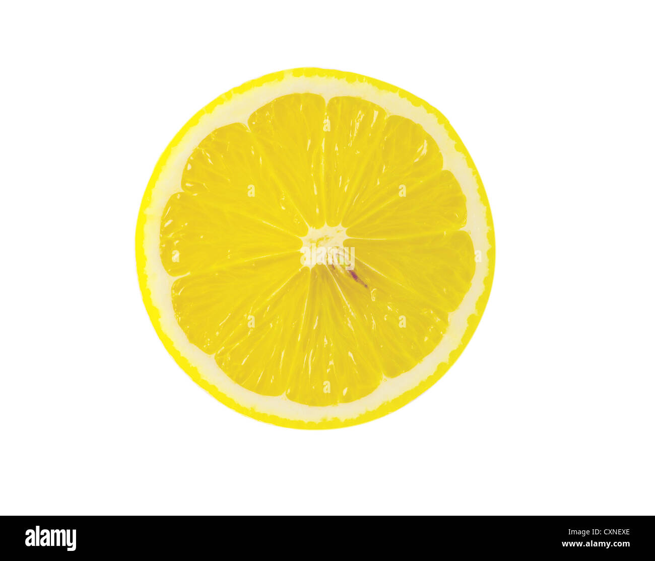 Zitronenscheibe isoliert auf weißem Hintergrund Stockfoto