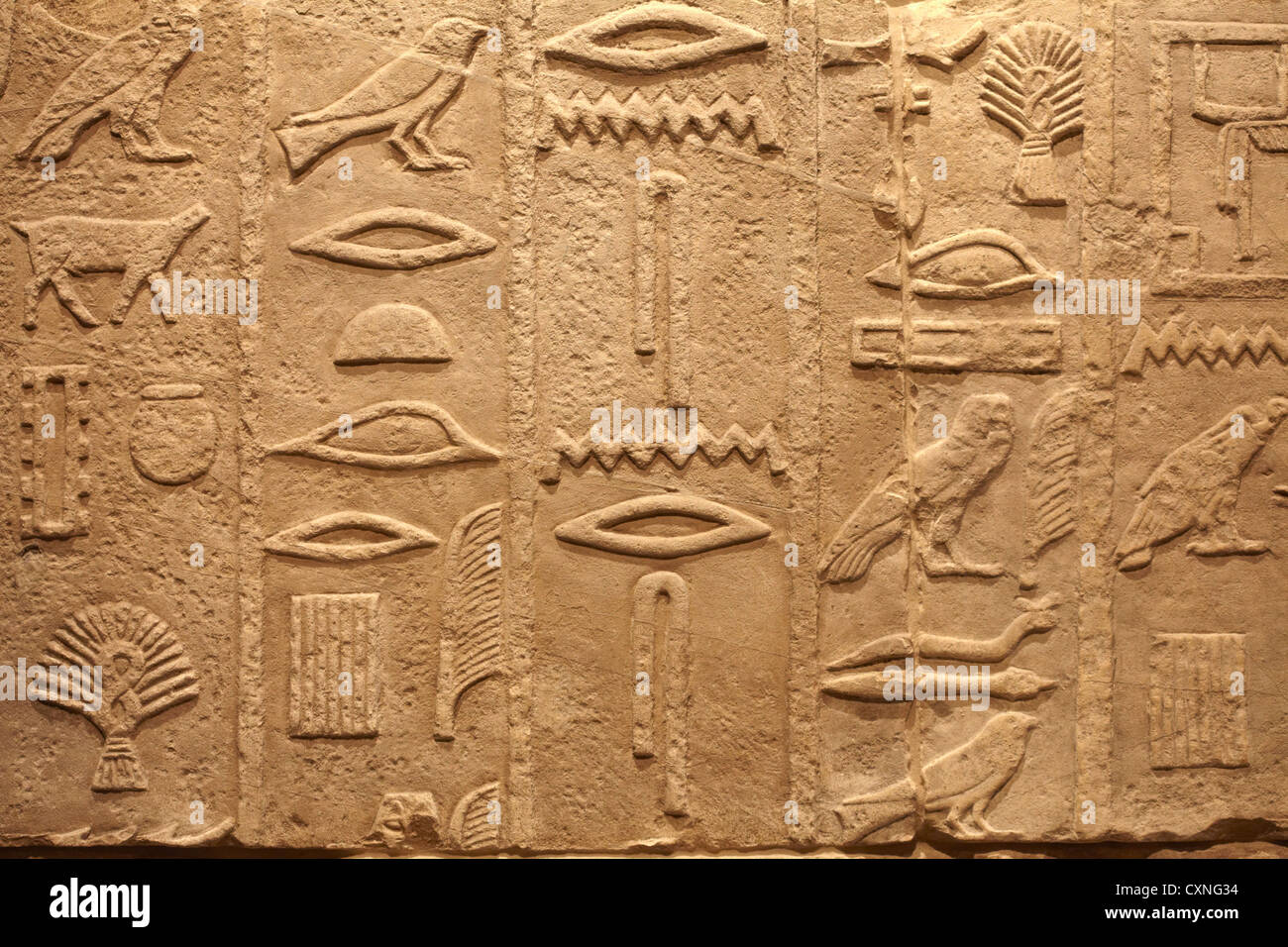 Alten Ägypten alten Schriften Hintergrund Stockfoto