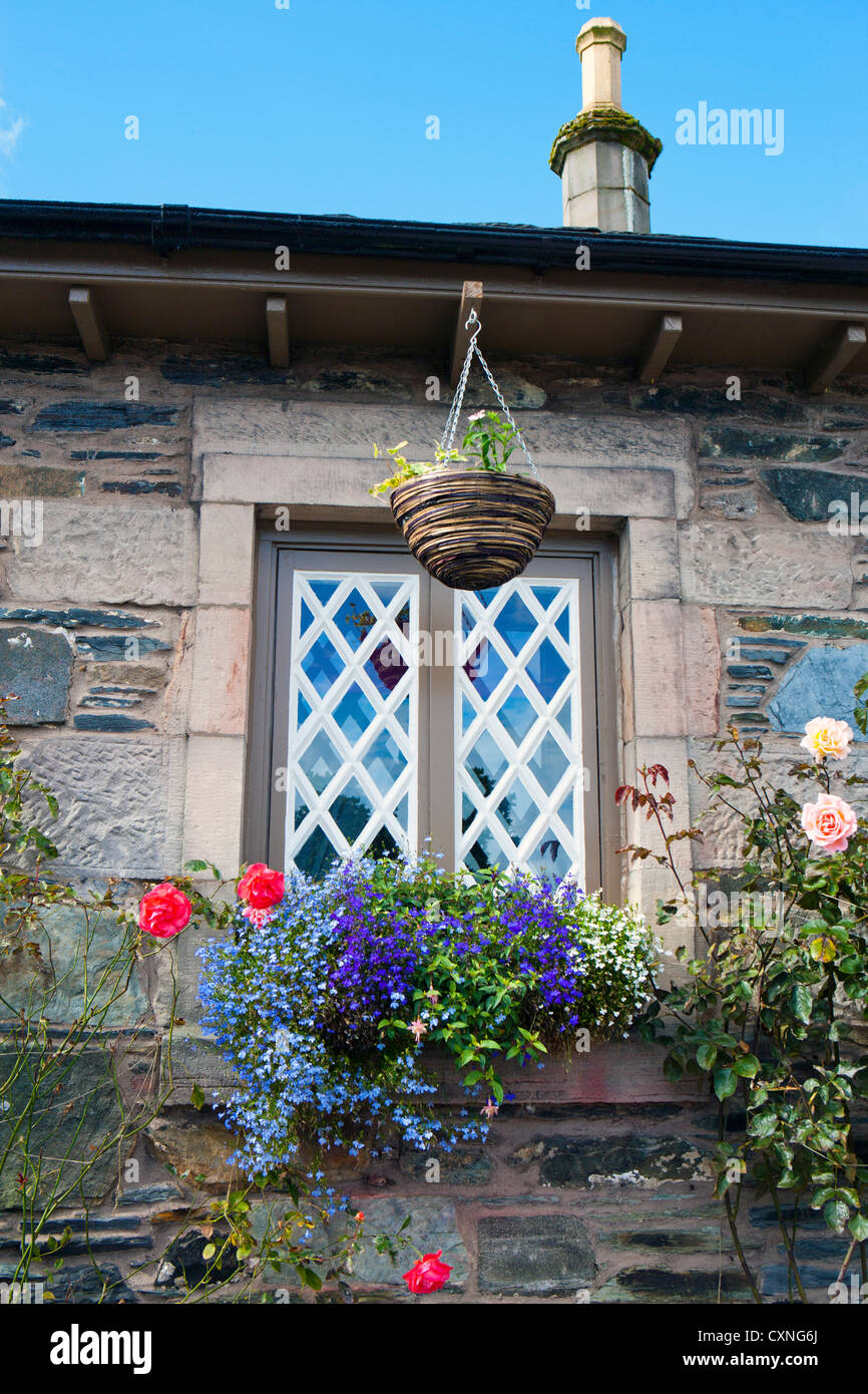 Alte schottische Hütte im Herbst mit Fenster und Blumen Stockfoto