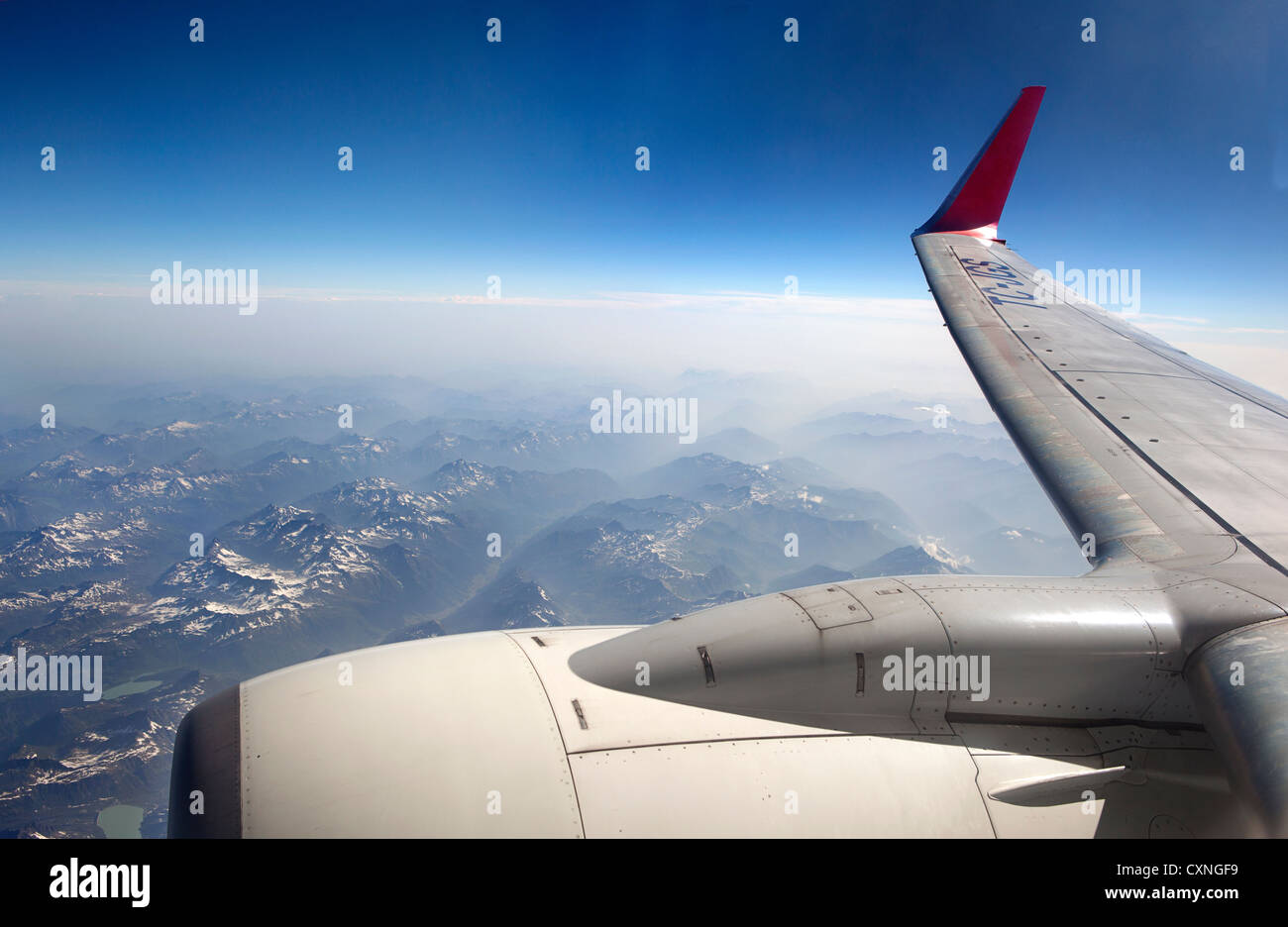 Fliegen Stockfoto