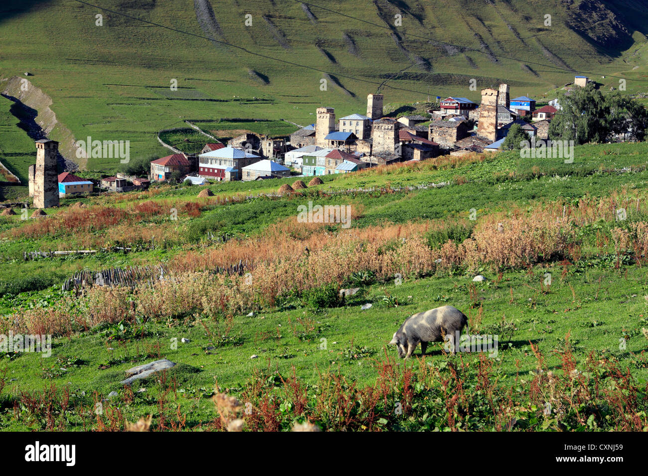 Dorf in der Nähe von Shkhara Peak (5068 m), Ushghuli Gemeinschaft, obere Svanetia, Georgien Stockfoto