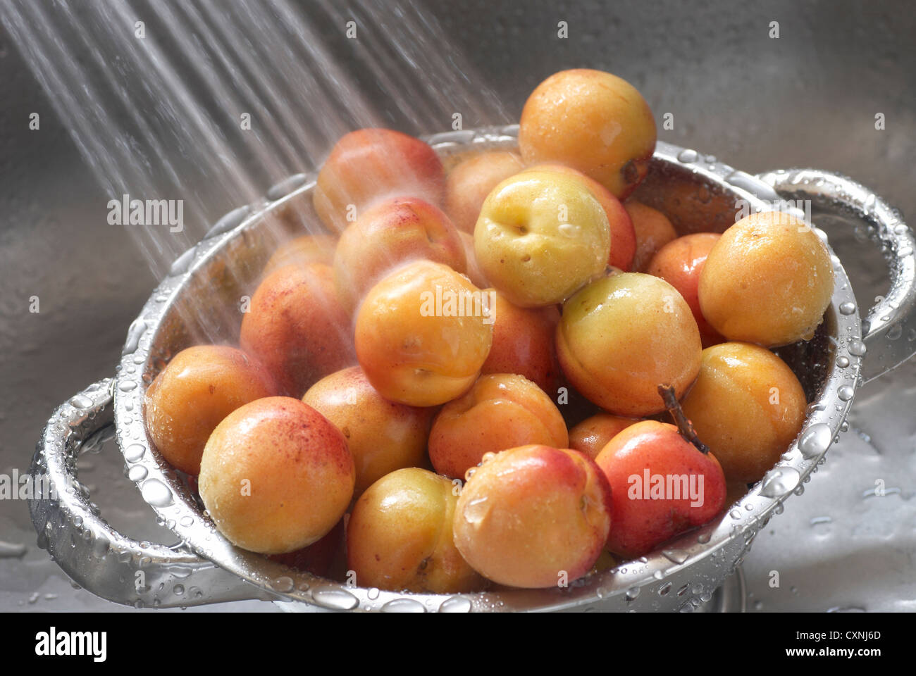 Aprikosen mit Wasser gespült armenische Pflaume Stockfoto