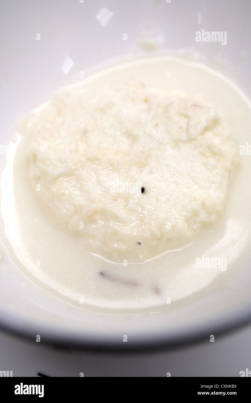 Indisches Dessert, Ras Malai Stockfoto