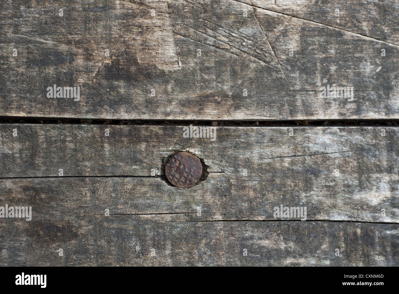 Kiefer Holz strukturierten Hintergrund Stockfoto
