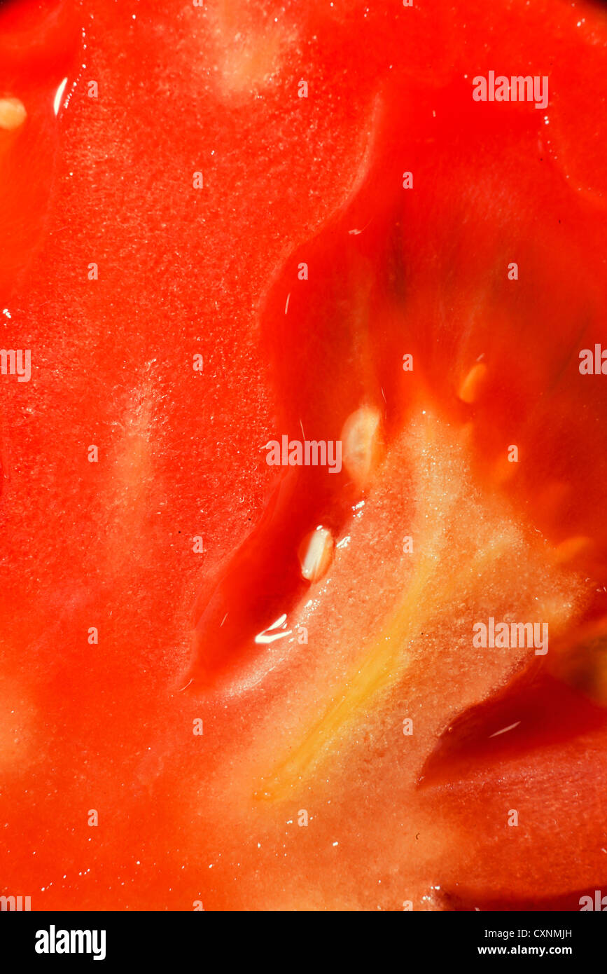 Close-up Tomate Stockfoto