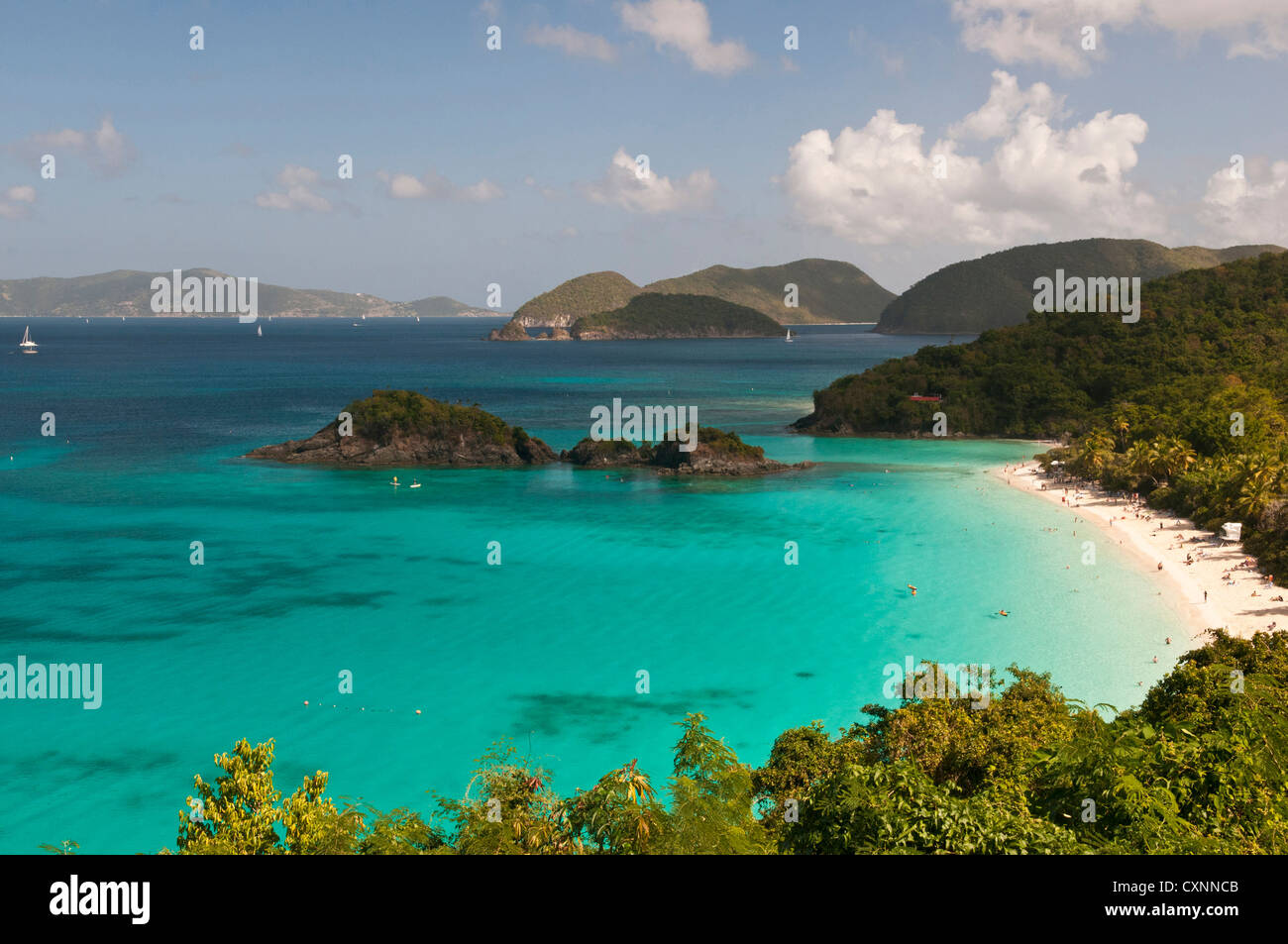 USA, USVI, Johannes. Tropische Winter-Wochenende. Unter Wasser Schnorcheln Trail Teil der Virgin Islands Nationalpark Stockfoto