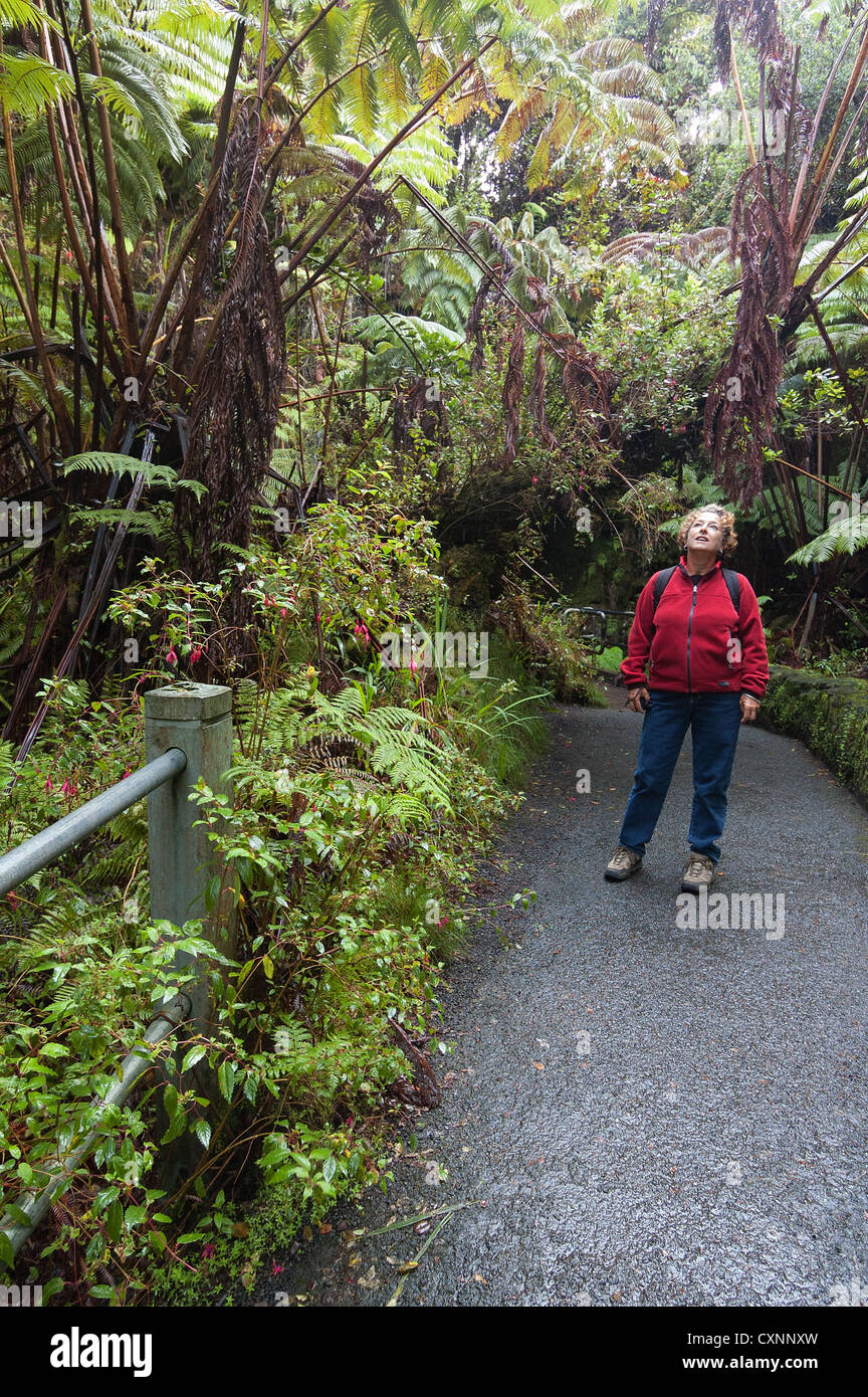 Elk284-2335v Hawaii, Big Island, Volcanoes National Park, Thurston Lava Tube mit Frau Besucher Stockfoto