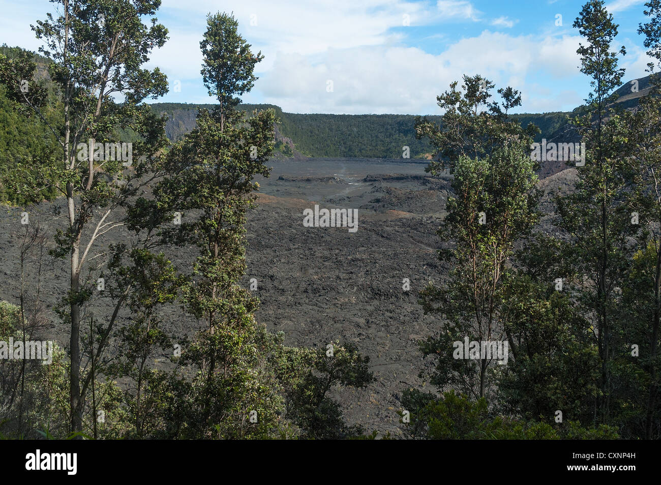 Elk284-2374 Hawaii, Big Island, Vulkane Narional Park, Kilauea-Iki-Krater Stockfoto