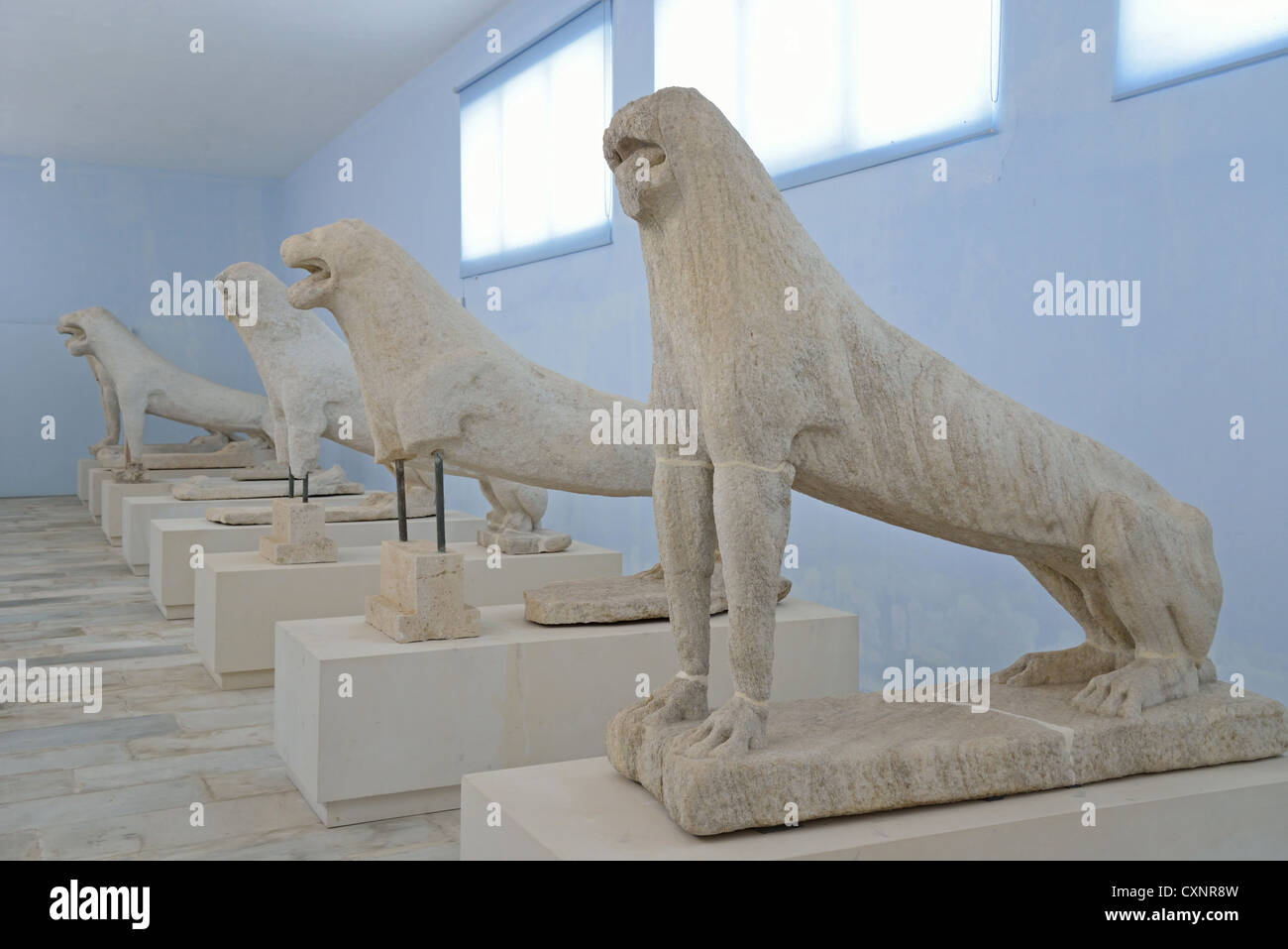 Die Delos-Löwen im Delos Museum, archäologische Stätte von Delos, Delos, Cyclades, South Aegean Region, Griechenland Stockfoto