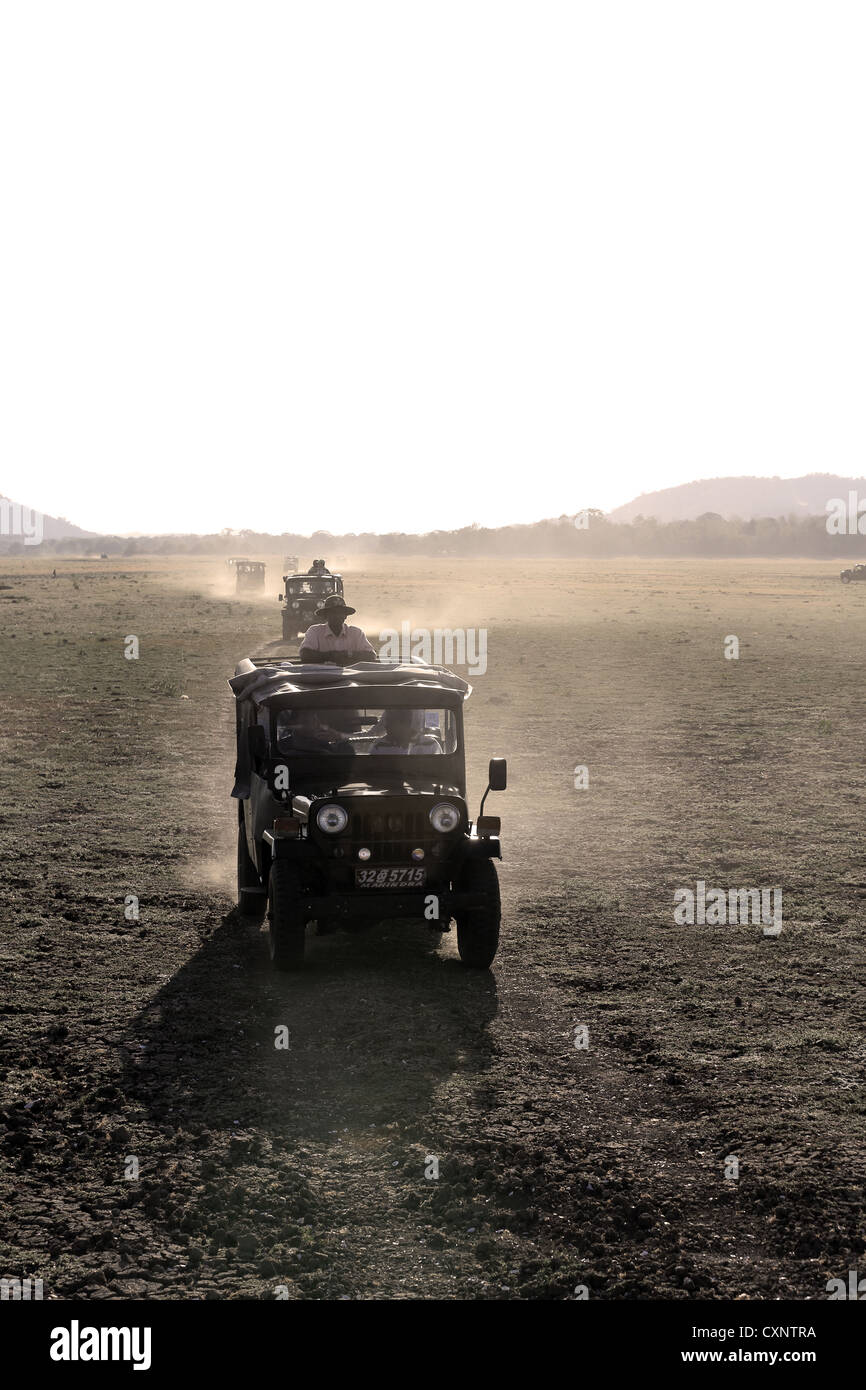 Jeep Safari fahren im Minneriya Nationalpark in Sri Lanka. Stockfoto