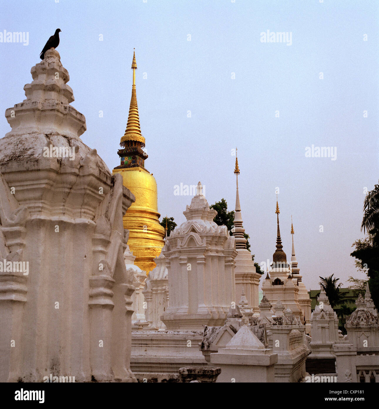 Thai Royal Friedhof im Wat Suan Dok aka Wat buppharam Chiang Mai in Thailand in Fernost Südostasien. orientalische Architektur Kunst historische Reisen Stockfoto