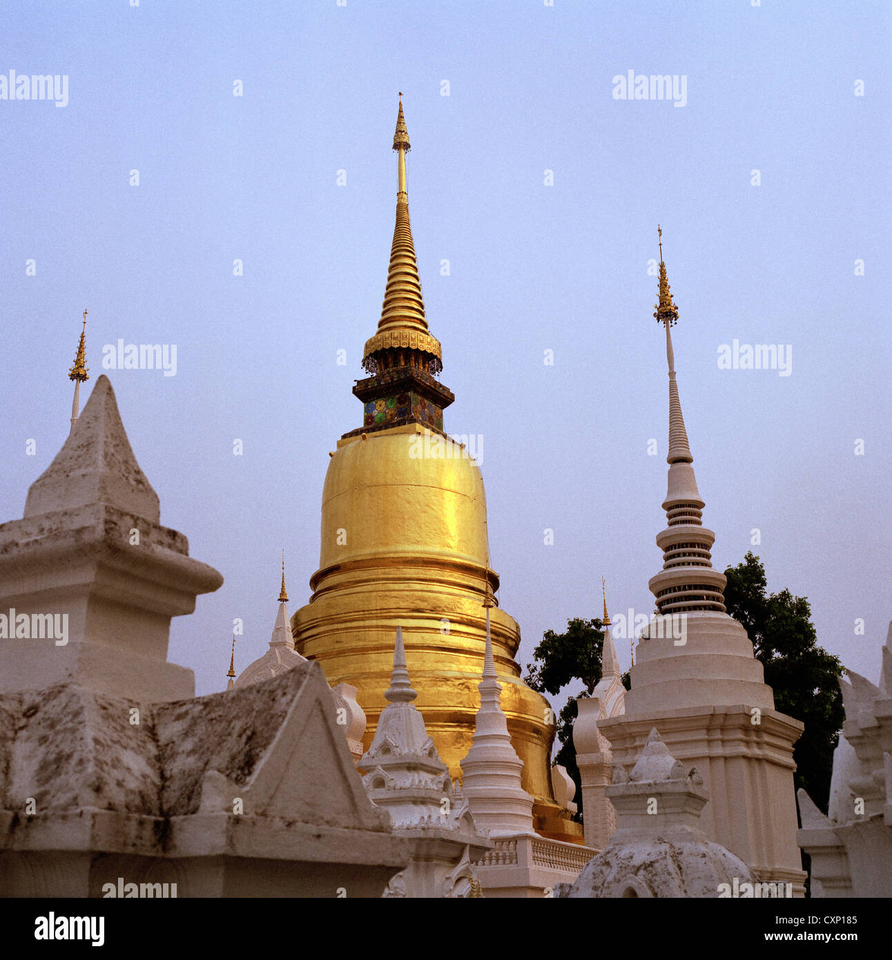 Thai Royal Friedhof im Wat Suan Dok aka Wat buppharam Chiang Mai in Thailand in Fernost Südostasien. orientalische Architektur Kunst historische Reisen Stockfoto