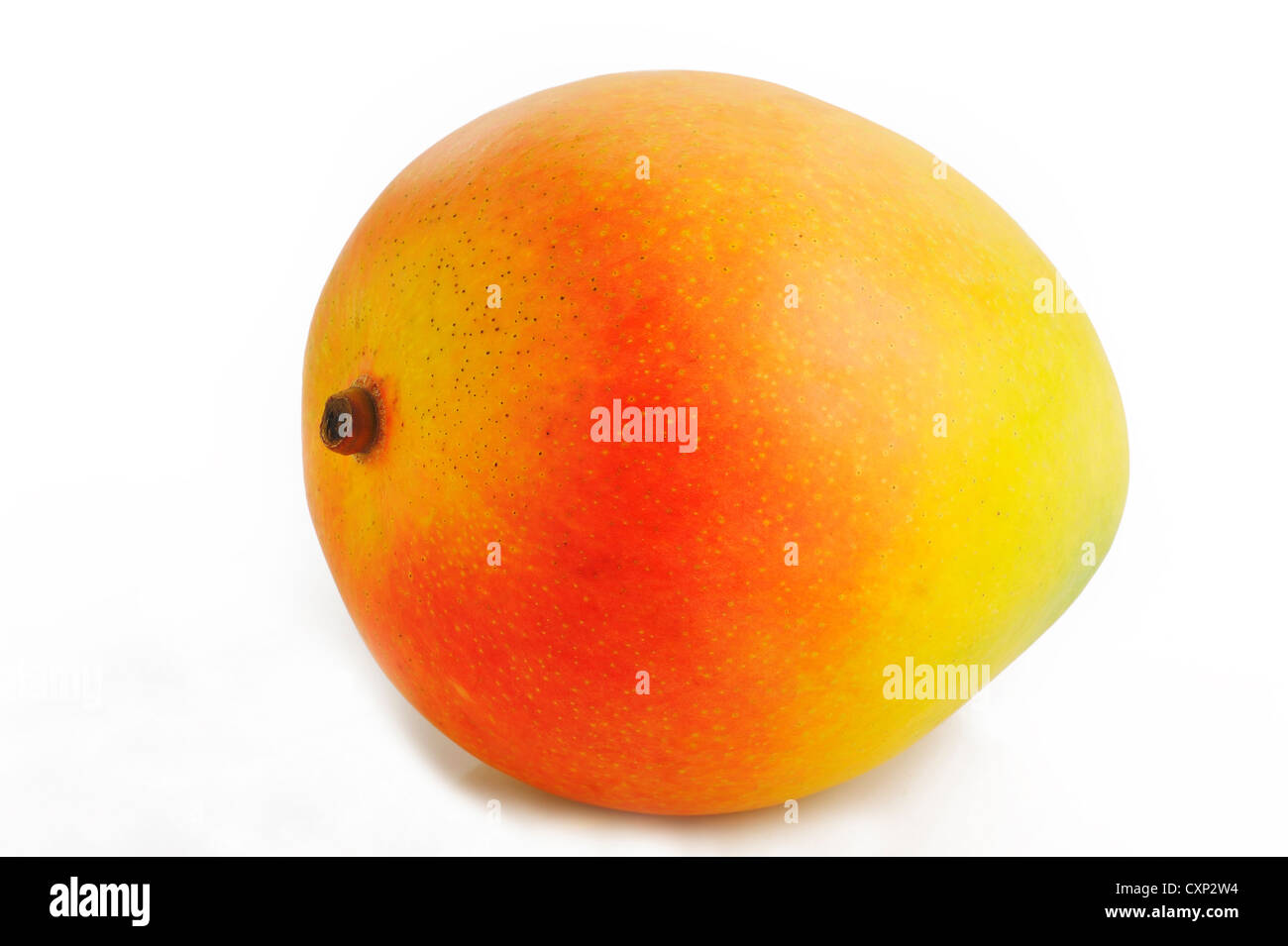 Mango auf weißem Hintergrund Stockfoto