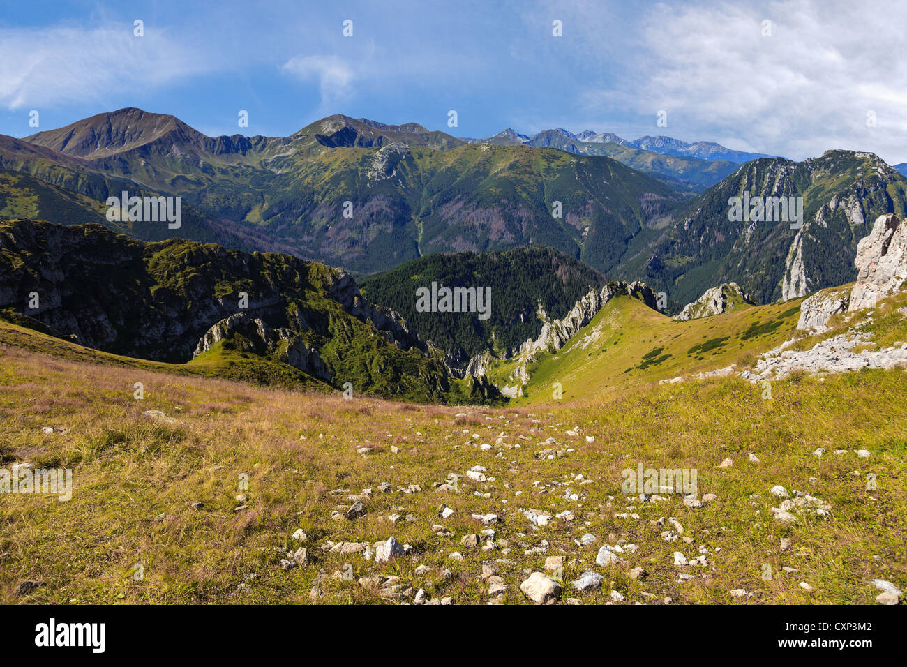 Schöne Aussicht auf die Tatra. Polnische Wierchy, Polen. Stockfoto