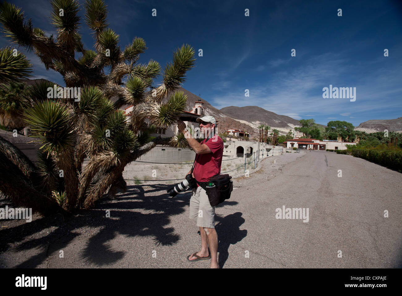 Erwachsenen männlichen Fotografen untersucht, Joshua Tree, Death Valley Nationalpark, Kalifornien, Vereinigte Staaten von Amerika Stockfoto