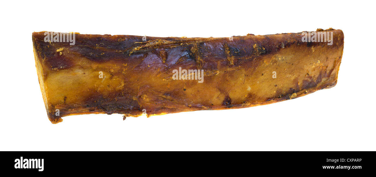 Ein großer Hund Rippenknochen mit einer kleinen Menge von Sehnen und Fleisch noch befestigt auf einem weißen Hintergrund. Stockfoto