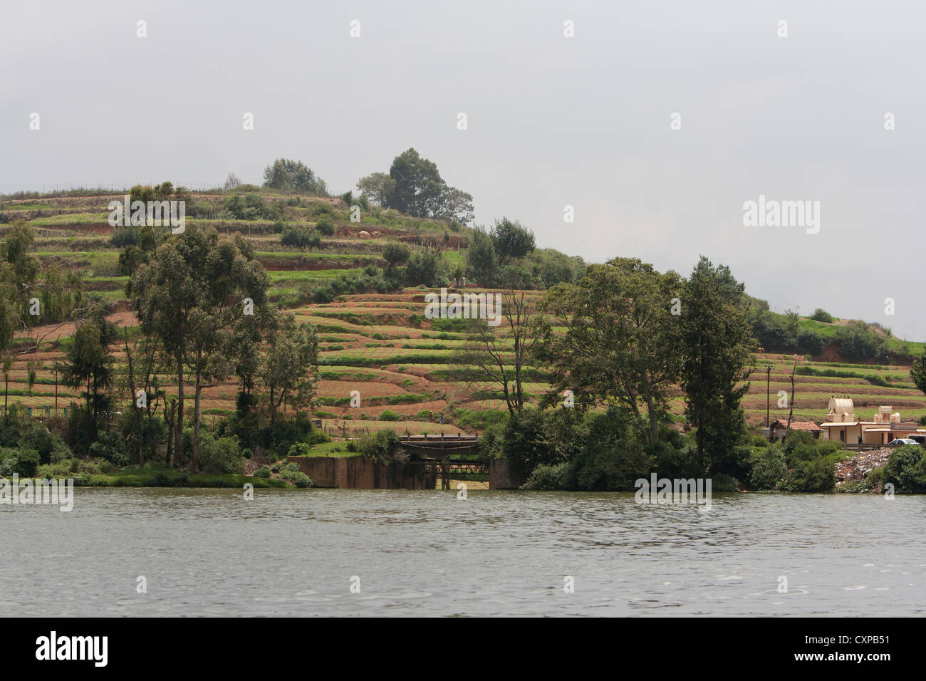 Blick vom Boot auf der berühmten Ooty Lake in den Nilgiris Bezirk von Tamilnadu in Südindien Stockfoto