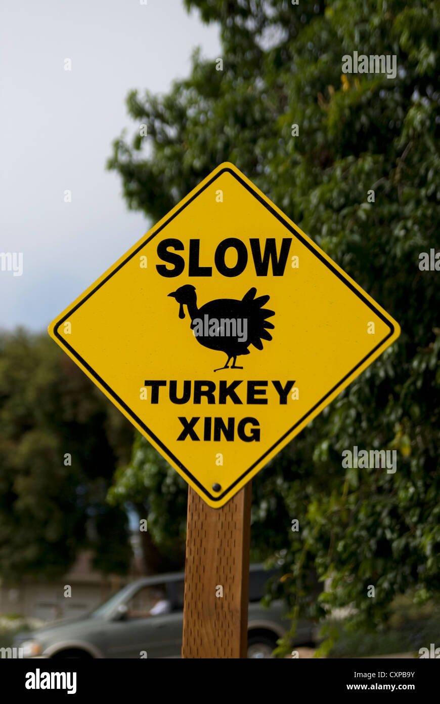 Verkehrszeichen, die für das Überschreiten der Puten warnt Stockfoto