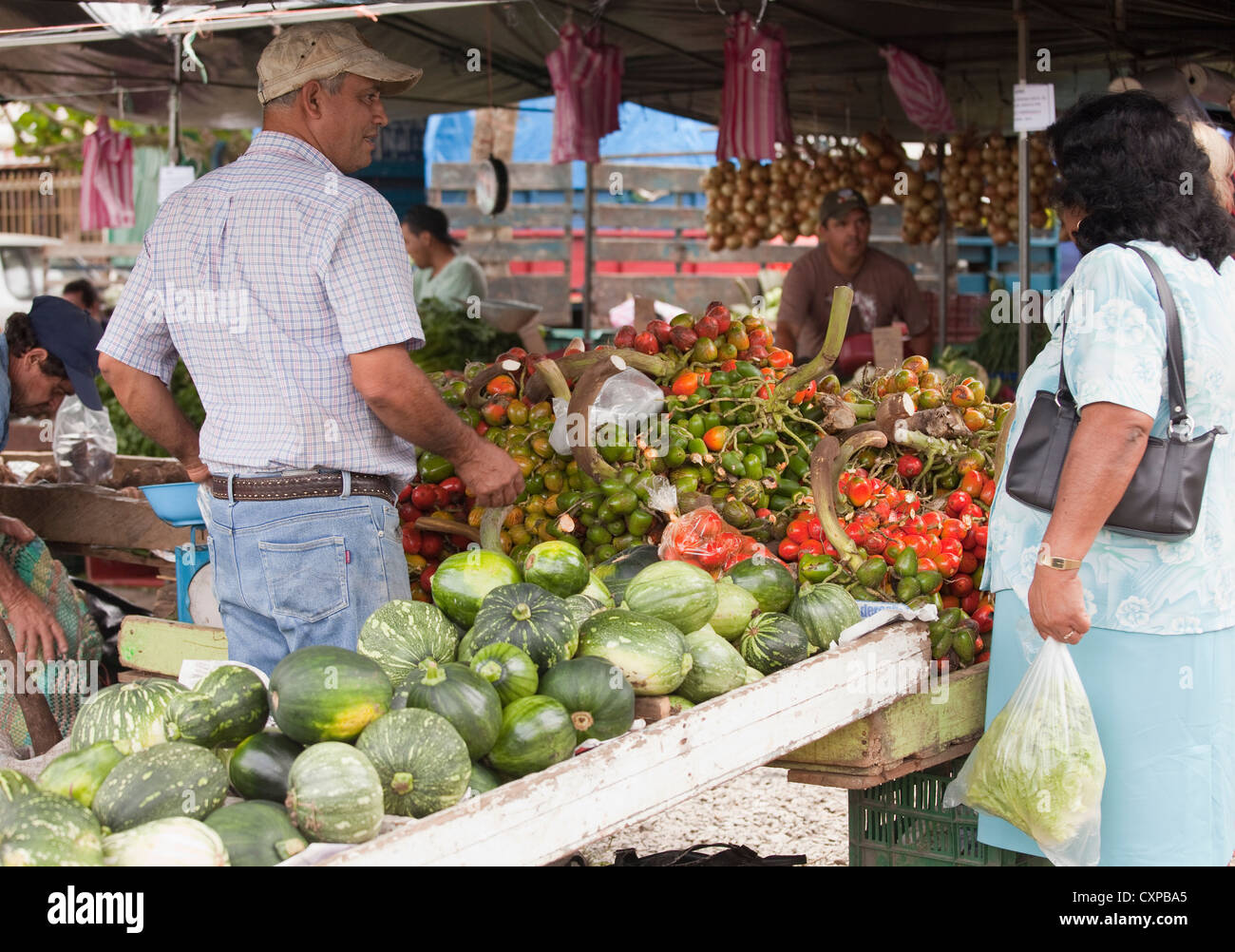 Frische Produkte für den Verkauf in Turrialba Bauern Markt, Costa Rica, Zentralamerika. Stockfoto