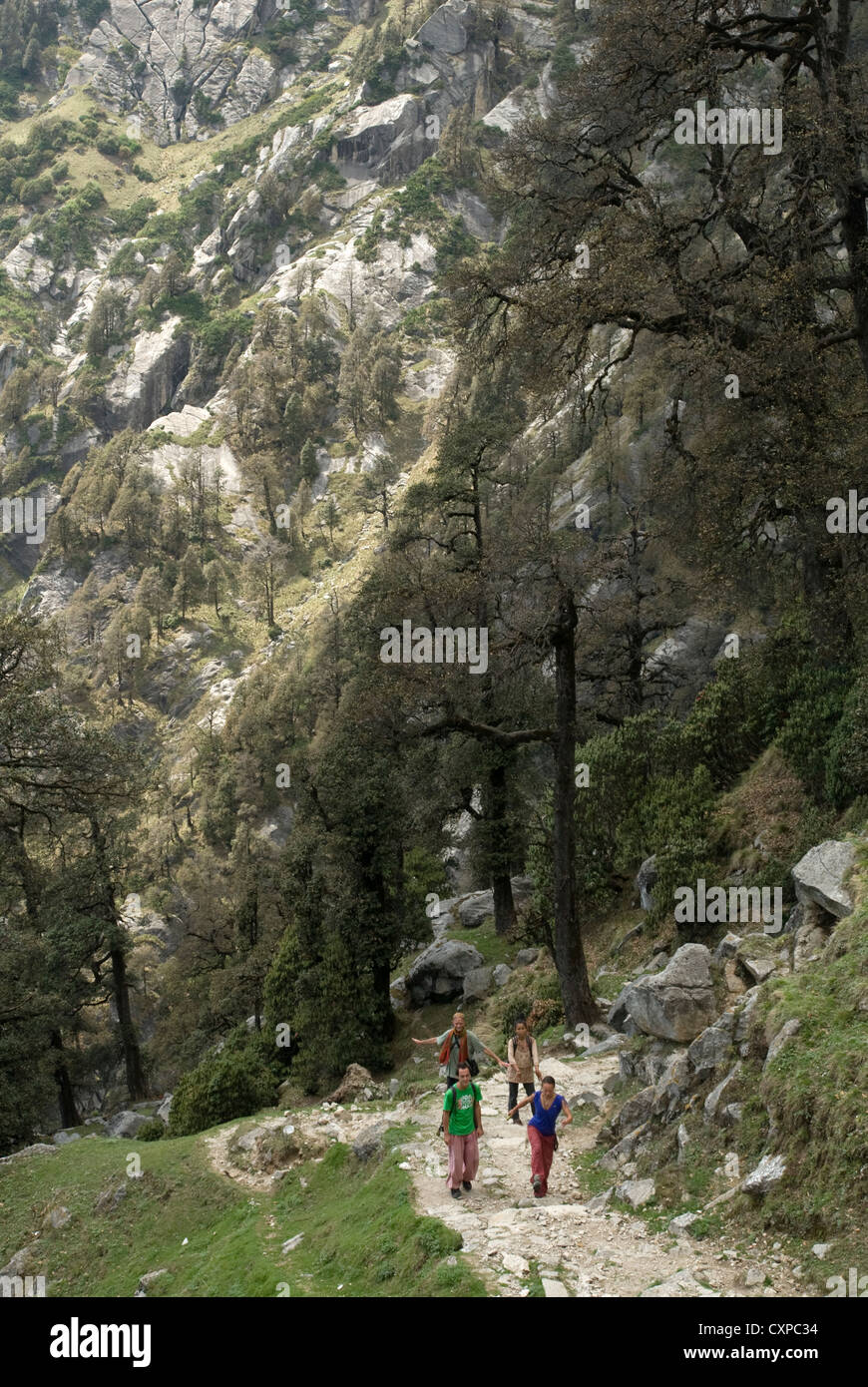 Eine Gruppe der Wanderer den Weg zum Triund über Dharamsala in Nordindien aufsteigen Stockfoto