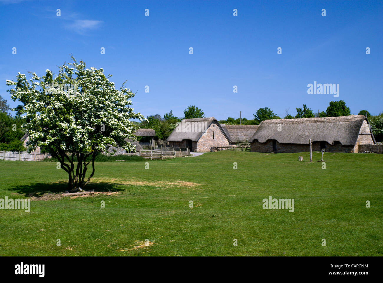 Cosmeston mittelalterliche Dorf Cosmeston Seen und Land Park Penarth Vale von Glamorgan-Süd-wales Stockfoto