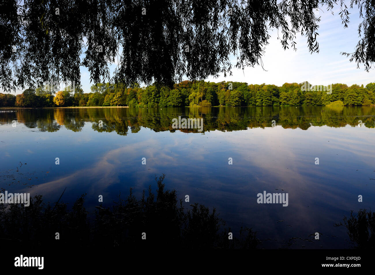 Anfang Herbst See Szene Wollaton park Nottingham England uk Stockfoto