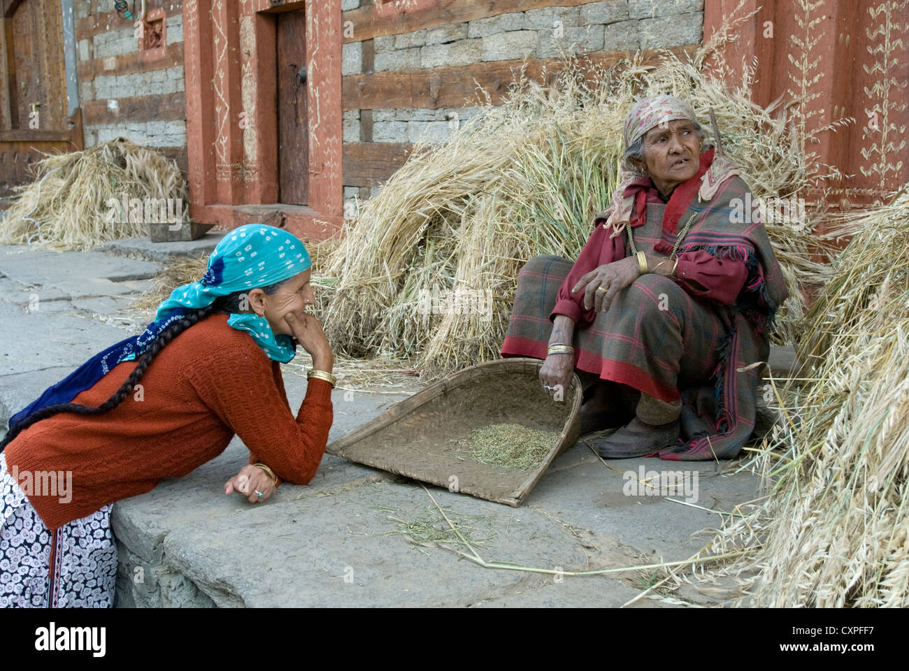 Zwei Frauen sprechen, da sie die Weizenernte in Aleo Dorf, Manali, Nordindien verarbeiten Stockfoto