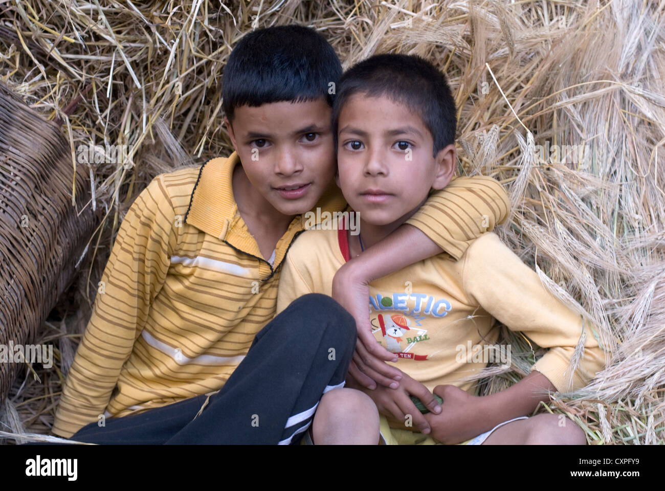 Kinder stellen nach der Weizenernte in Aleo Dorf, Manali, Nordindien Stockfoto