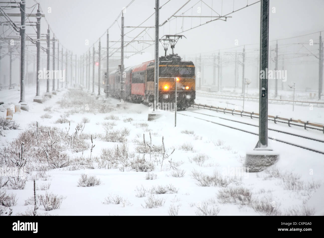 Zug fahren in Schneesturm in den Niederlanden Stockfoto