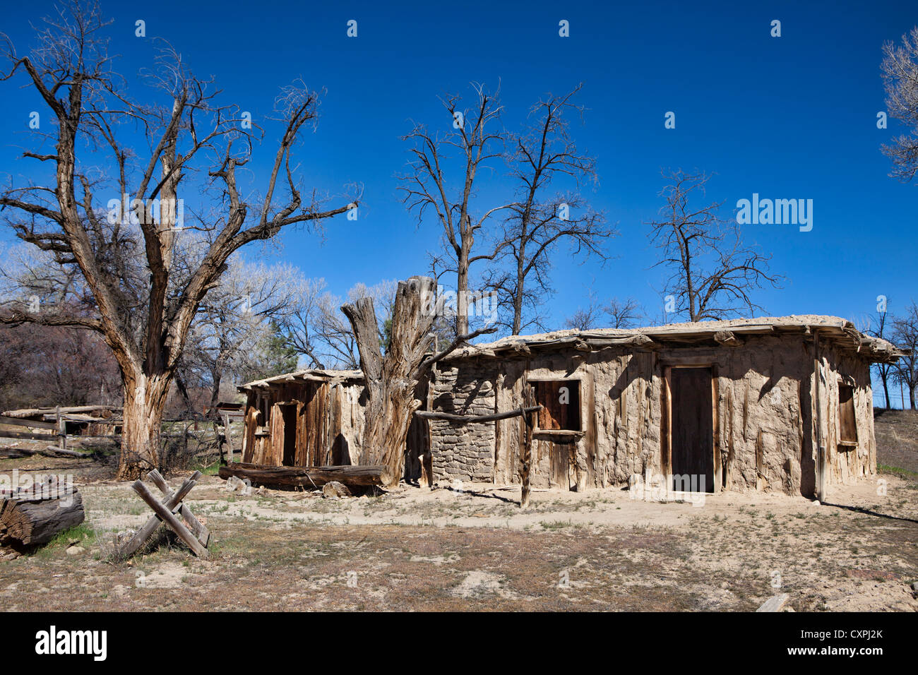 Lachs Ruinen & Heritage Park, Lachs Homestead, New Mexico Stockfoto