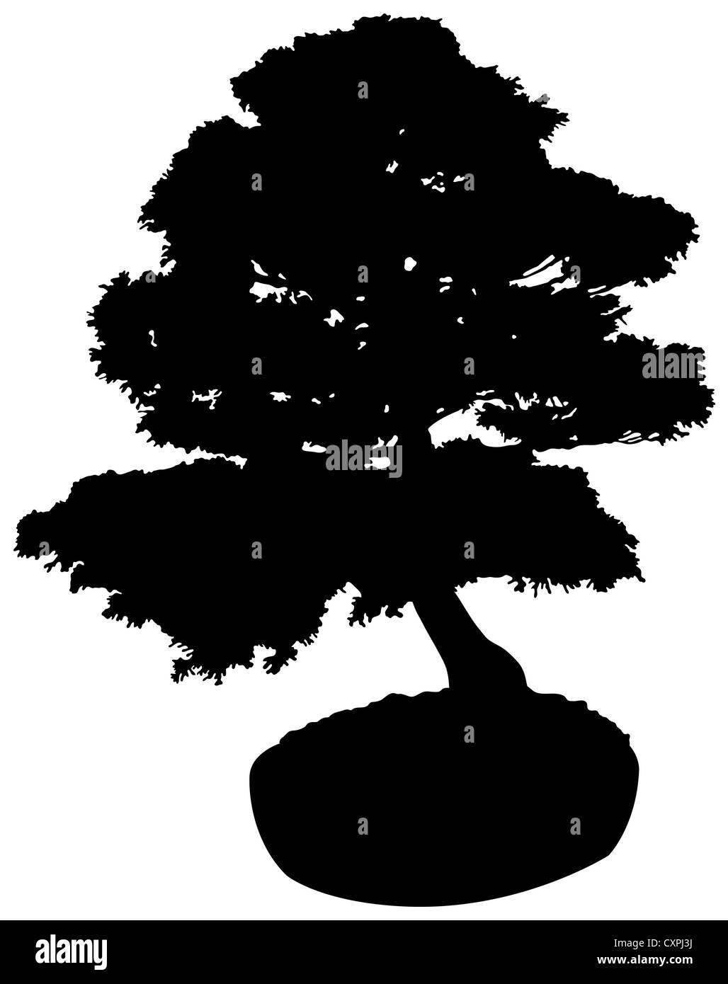 Bonsai Baum Silhouette Stockfoto