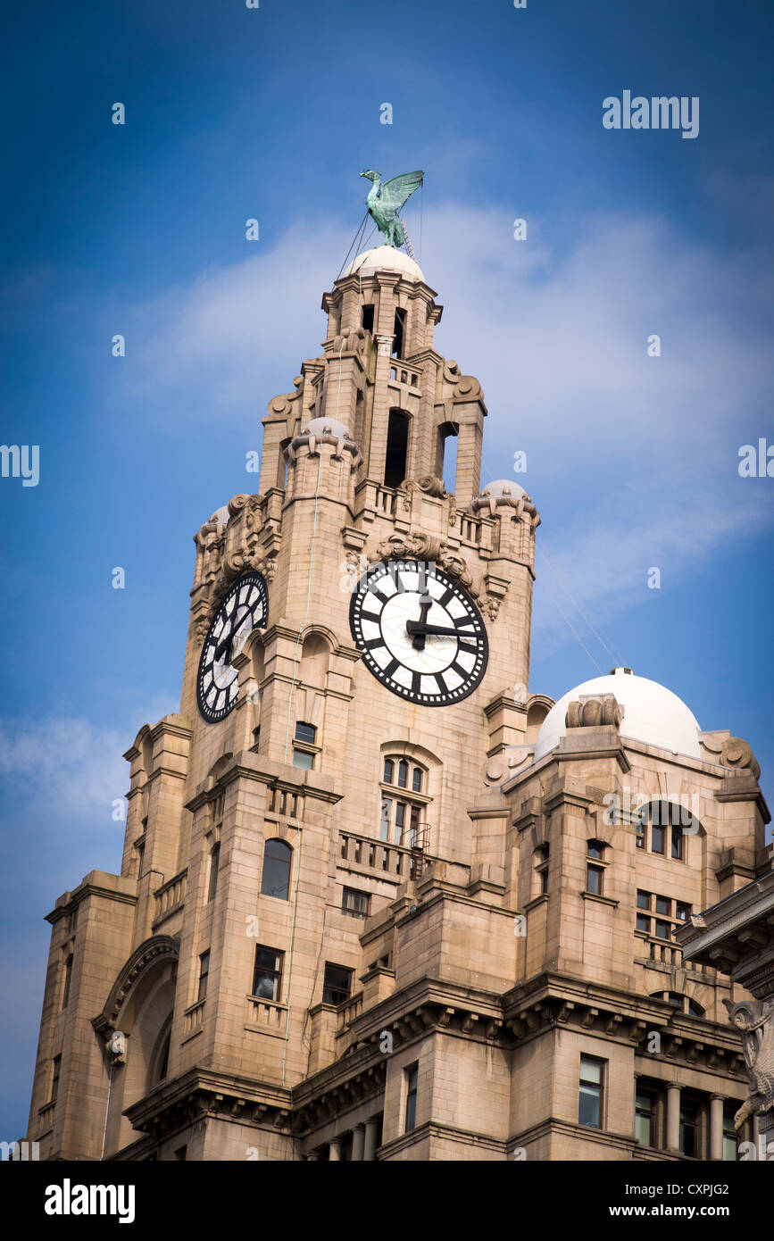 Die königlichen Leber Aufbau Turm und Uhr in Liverpool. Stockfoto