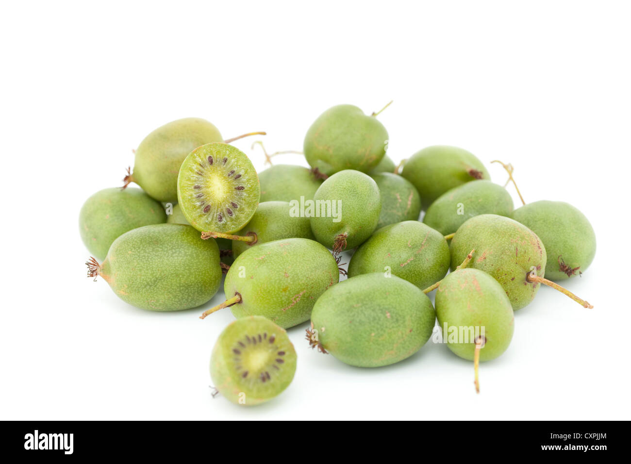 kleine grüne Kiwis auf weißem Hintergrund Stockfoto