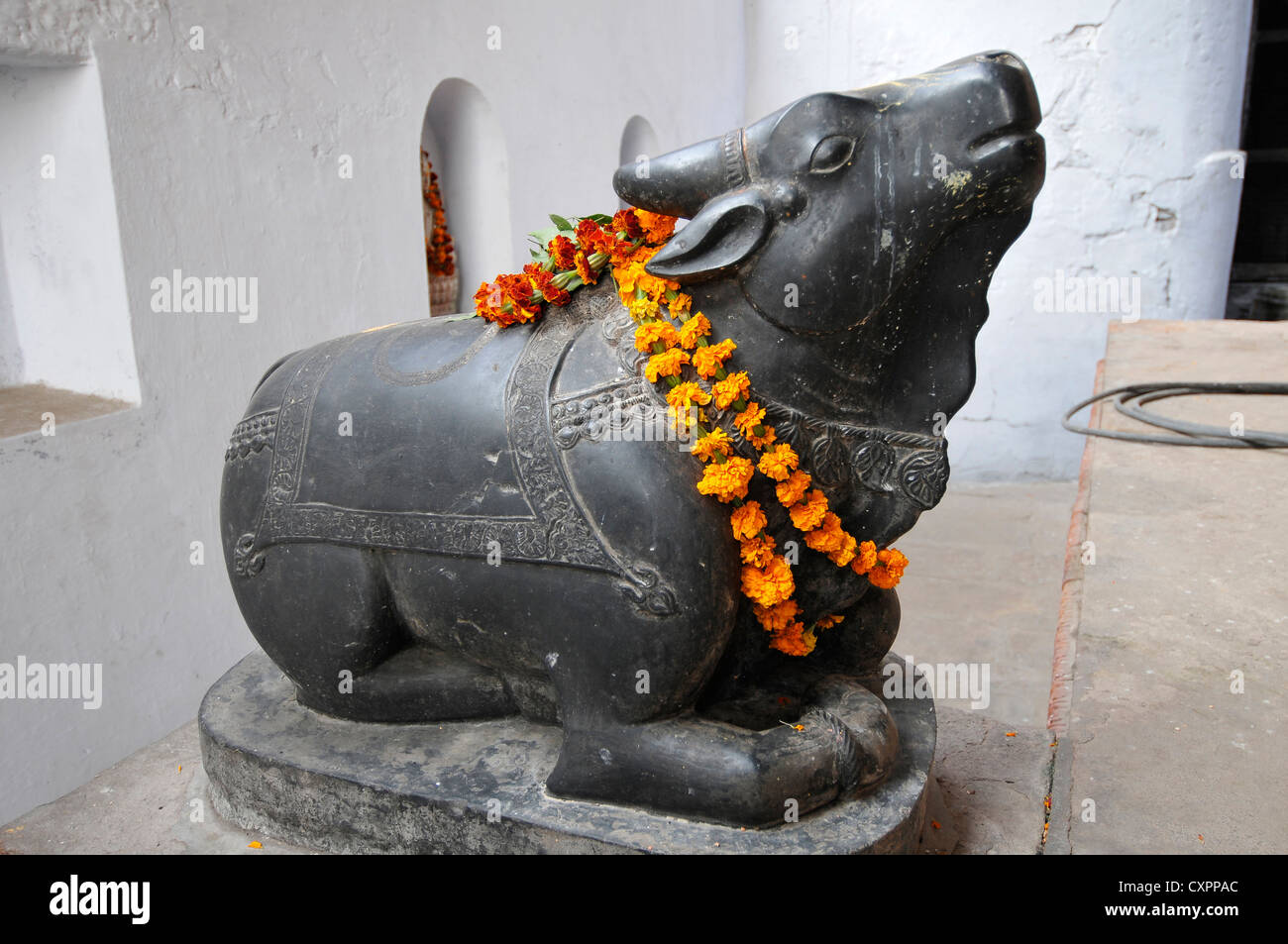 Asien Indien Uttar Pradesh Varanasi Nandi oder der Heilige Stier Stockfoto