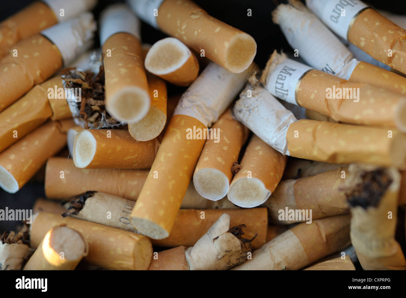 Zigarettenkippen Stockfoto