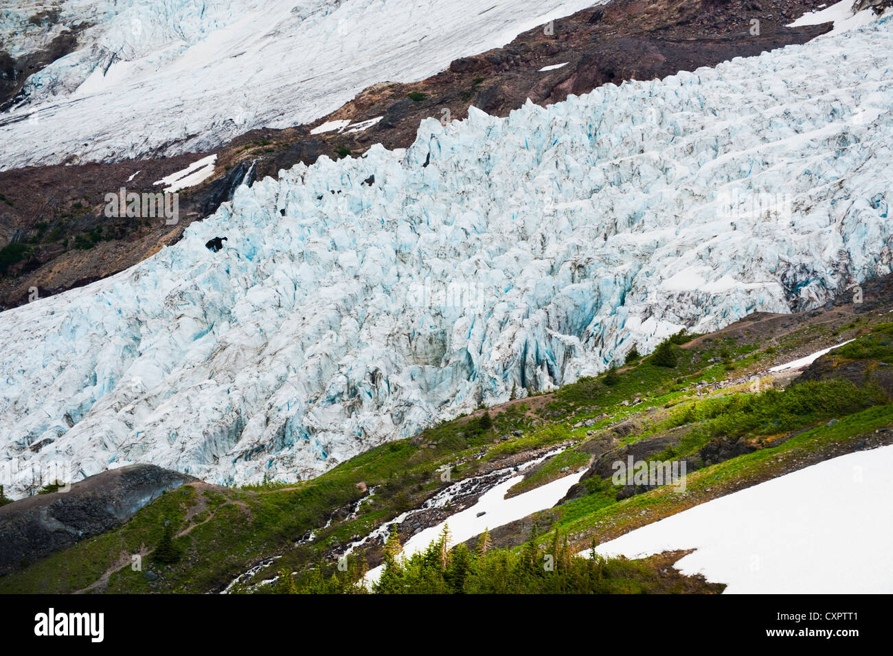 Die schrumpfenden Coleman Glacier gesehen von den Heliotrop Höhenweg am Fuße des Mt. Baker in den westlichen US-Bundesstaat Washington, USA. Stockfoto