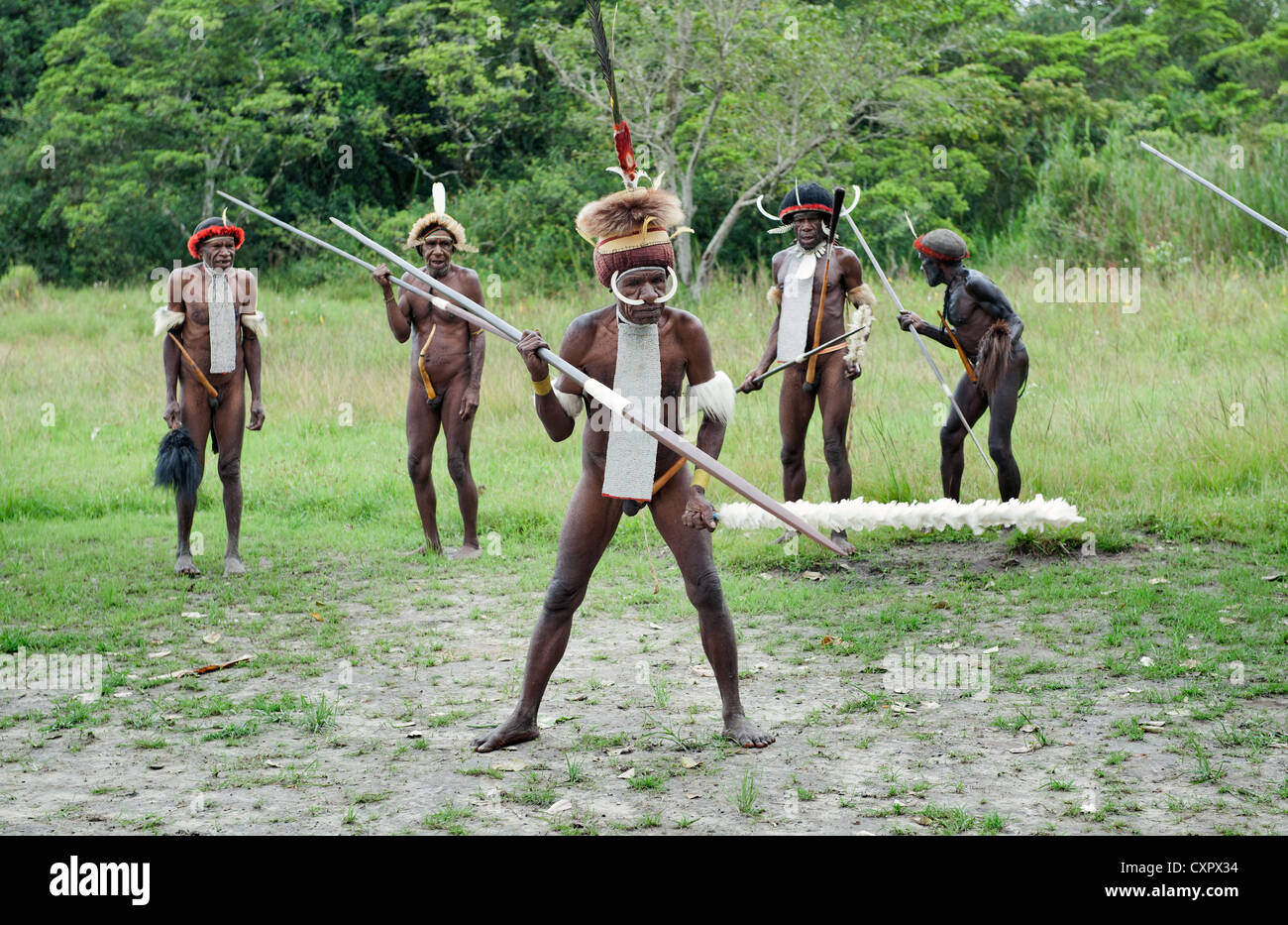 Ein Headhunter Krieger eines Papua Dugum Dani-Stammes in traditioneller Kleidung und Färbung mit Speeren Stockfoto