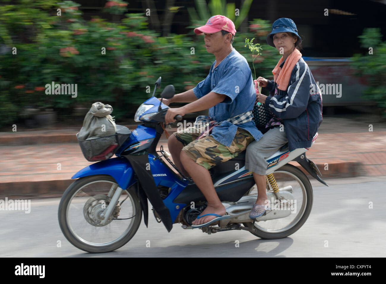 Eine Frau kehrt vom Markt ein Bäumchen zu tragen, als sie Sozius auf einem Motorrad in Luang Prabang, Laos reitet. Stockfoto