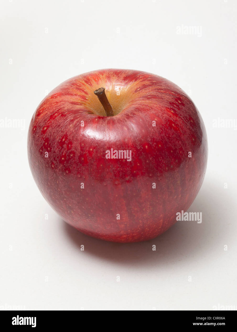 Roter Apfel Stockfoto